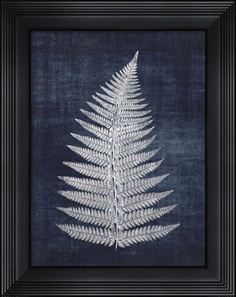 Framed Fern 1 Print