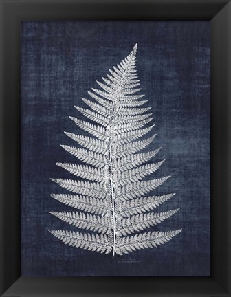 Framed Fern 1 Print