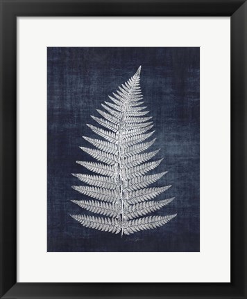 Framed Fern 1 Print