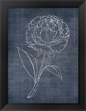 Framed White Peony on Navy 1 Print