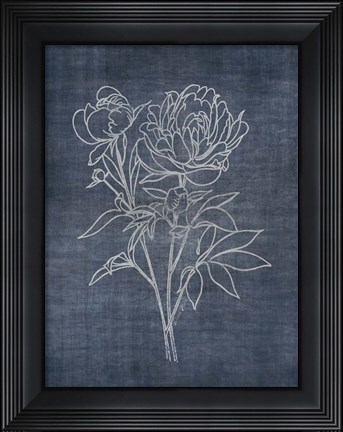 Framed White Peony on Navy 2 Print