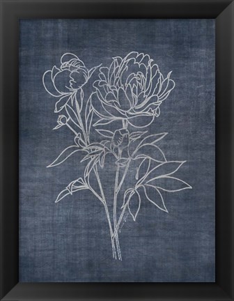 Framed White Peony on Navy 2 Print