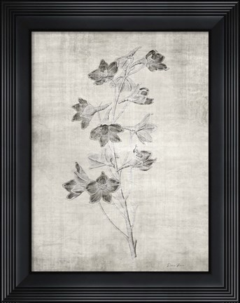 Framed Sepia Botanical 3 Print
