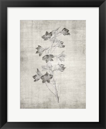 Framed Sepia Botanical 3 Print