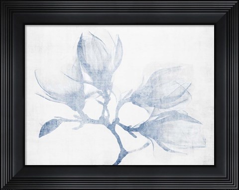 Framed Floral Study Print