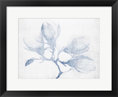 Framed Floral Study Print