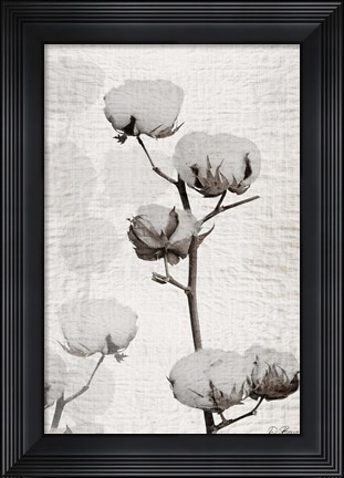Framed Cotton Stem 1 Print