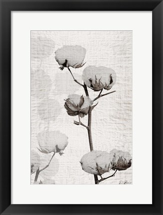 Framed Cotton Stem 1 Print