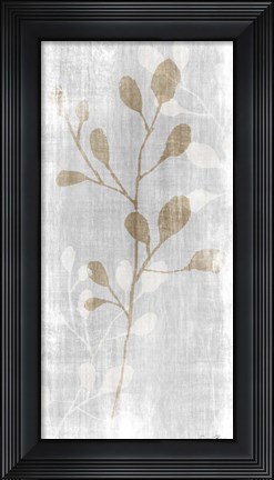 Framed Botanical Stem 2 Print