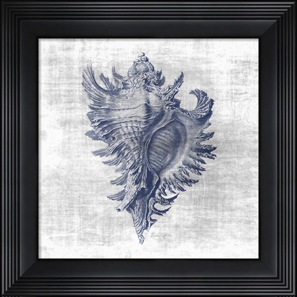 Framed Sea Life 1 Print