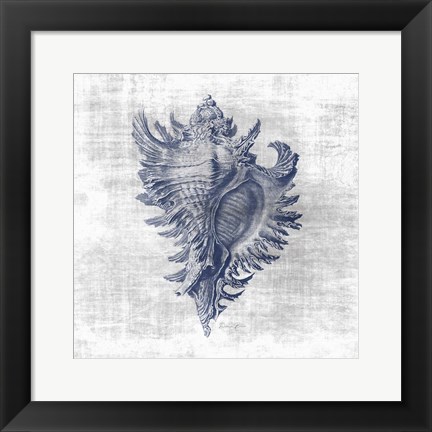 Framed Sea Life 1 Print