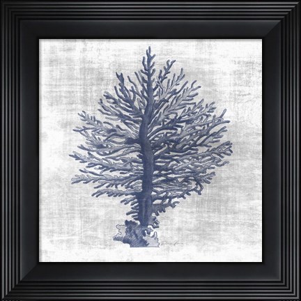 Framed Sea Life 2 Print