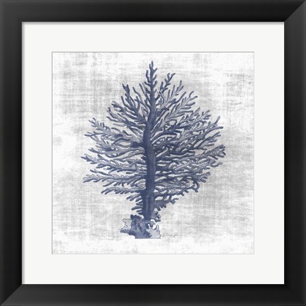 Framed Sea Life 2 Print