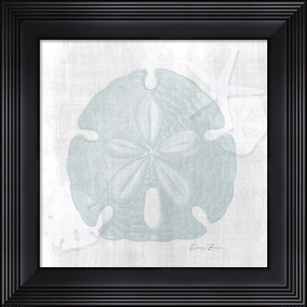 Framed Sand Dollar 1 Print