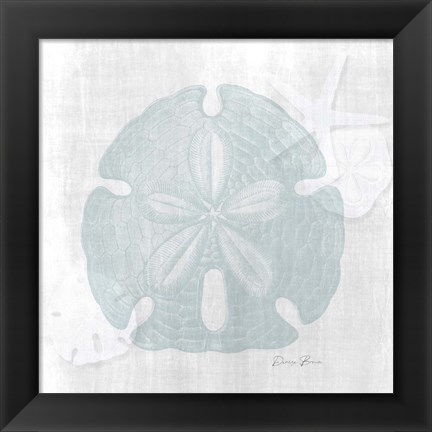 Framed Sand Dollar 1 Print