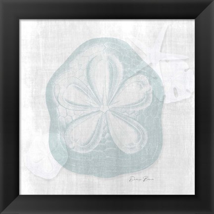 Framed Sand Dollar 2 Print