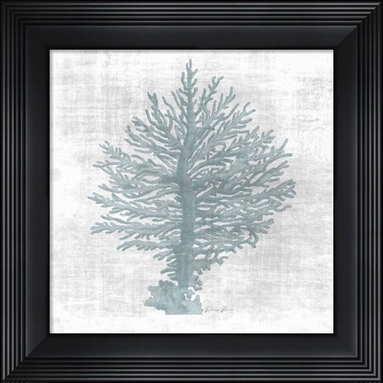 Framed Sea Life 2 v2 Print