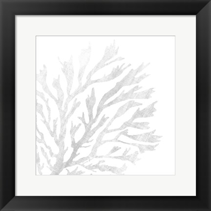 Framed White Seaweed 2 Print