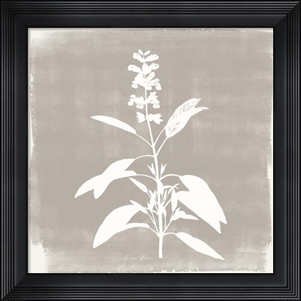 Framed Sophisticated Floral 3 Print