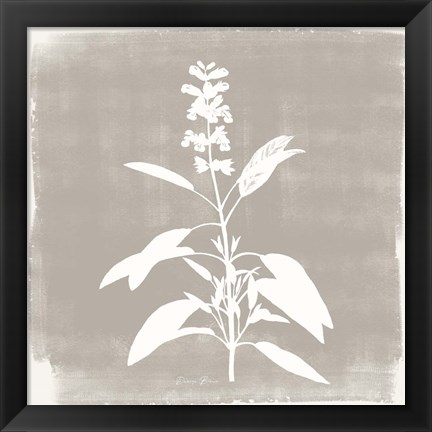 Framed Sophisticated Floral 3 Print