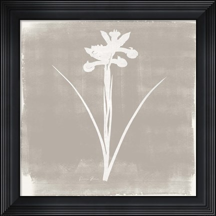 Framed Sophisticated Floral 4 Print