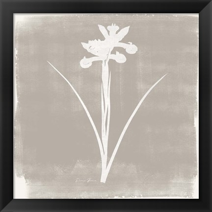 Framed Sophisticated Floral 4 Print