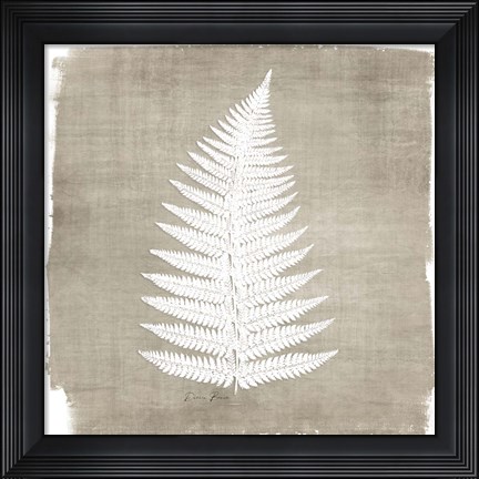 Framed Natures Fern 1 Print
