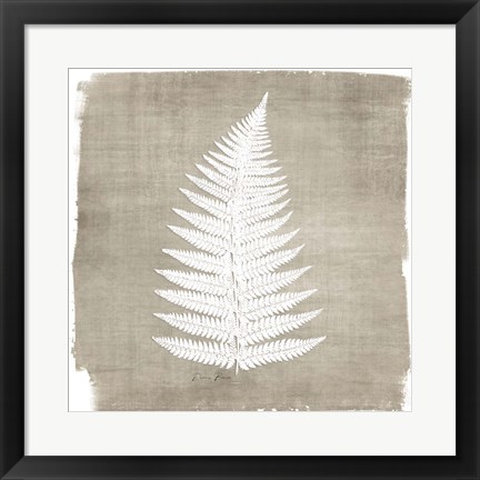 Framed Natures Fern 1 Print