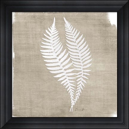 Framed Natures Fern 2 Print