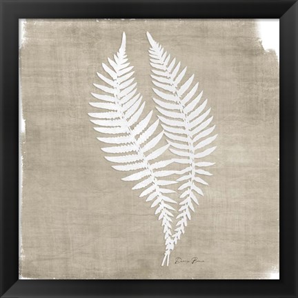 Framed Natures Fern 2 Print