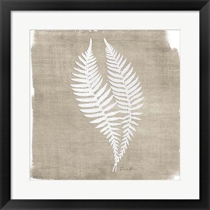 Framed Natures Fern 2 Print