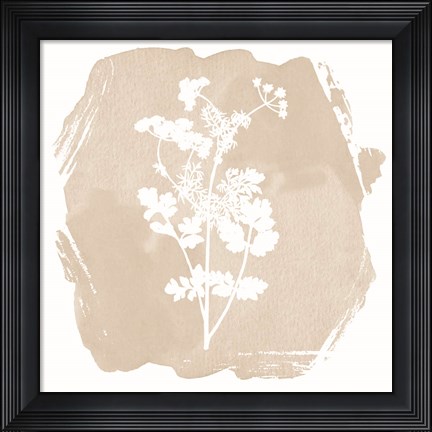 Framed Sweet Sophisticate Floral 2 Print