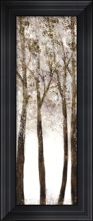 Framed Wooded Grove 1 Print