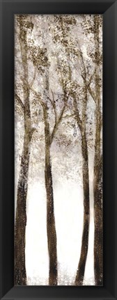 Framed Wooded Grove 1 Print