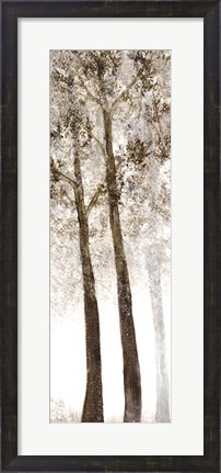 Framed Wooded Grove 2 Print