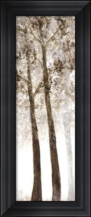 Framed Wooded Grove 2 Print