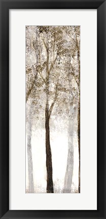 Framed Wooded Grove 3 Print