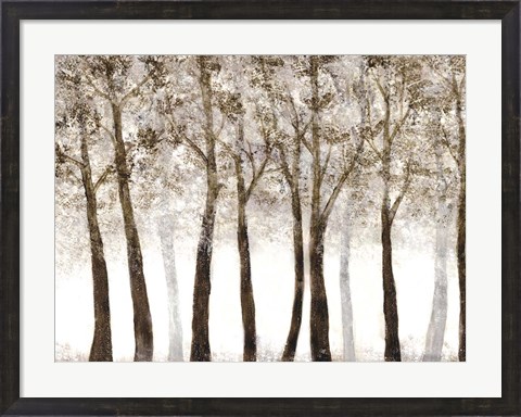 Framed Wooded Grove Print