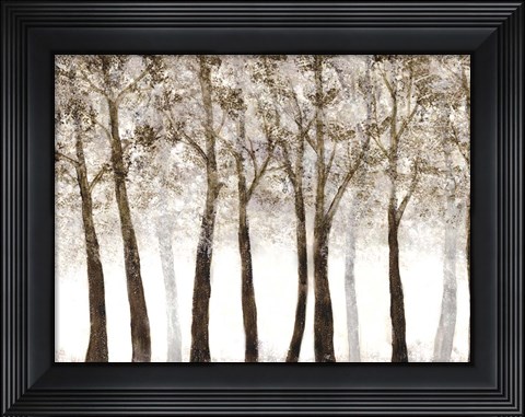 Framed Wooded Grove Print