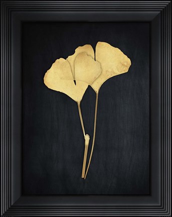 Framed Midas Ginkgo 1 Print