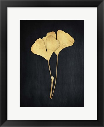 Framed Midas Ginkgo 1 Print