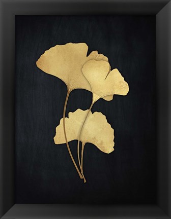 Framed Midas Ginkgo 2 Print