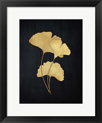 Framed Midas Ginkgo 2 Print