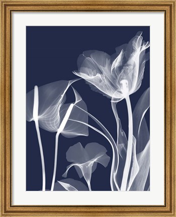 Framed Navy Flora 2 Print