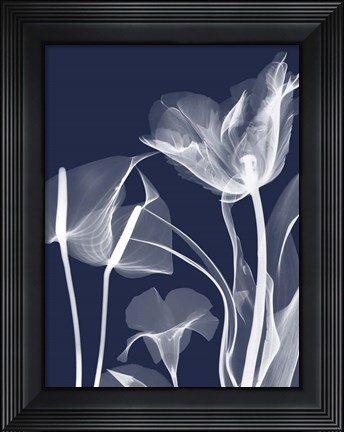 Framed Navy Flora 2 Print
