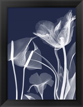 Framed Navy Flora 2 Print