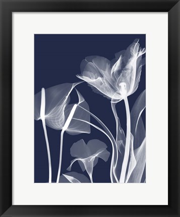 Framed Navy Flora 2 Print