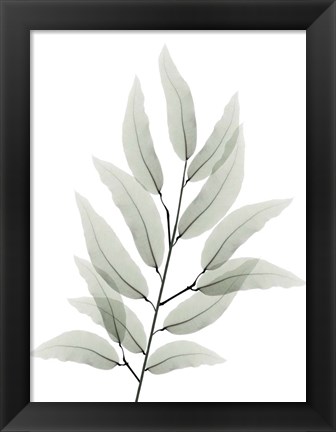 Framed Franken Tree 1 Print
