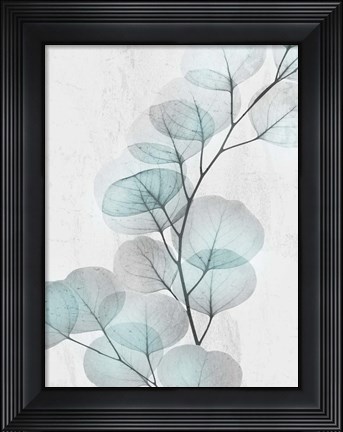 Framed Eucalyptus Glow 4 Print