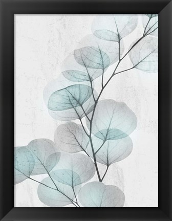 Framed Eucalyptus Glow 4 Print